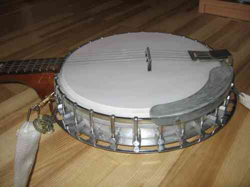 Ptistrunn banjo