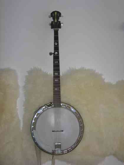 Pětistrunné banjo