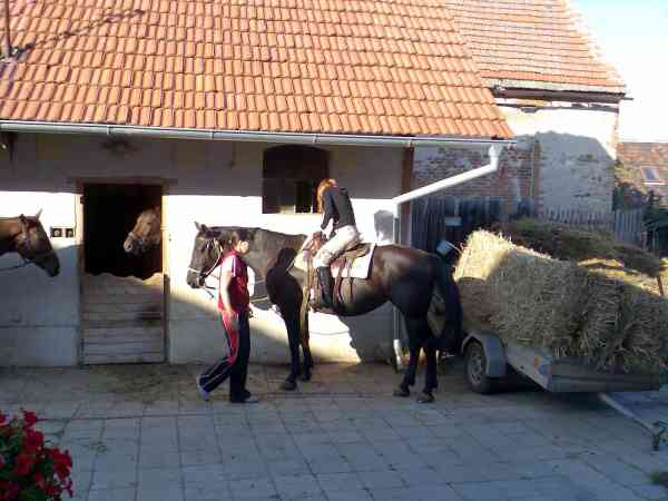 Vyjka a konch